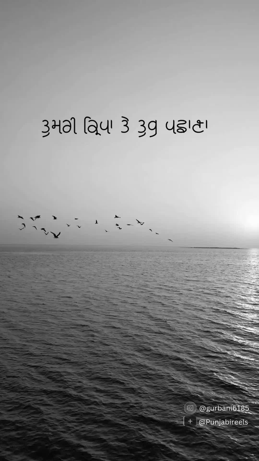 @Punjabireels
