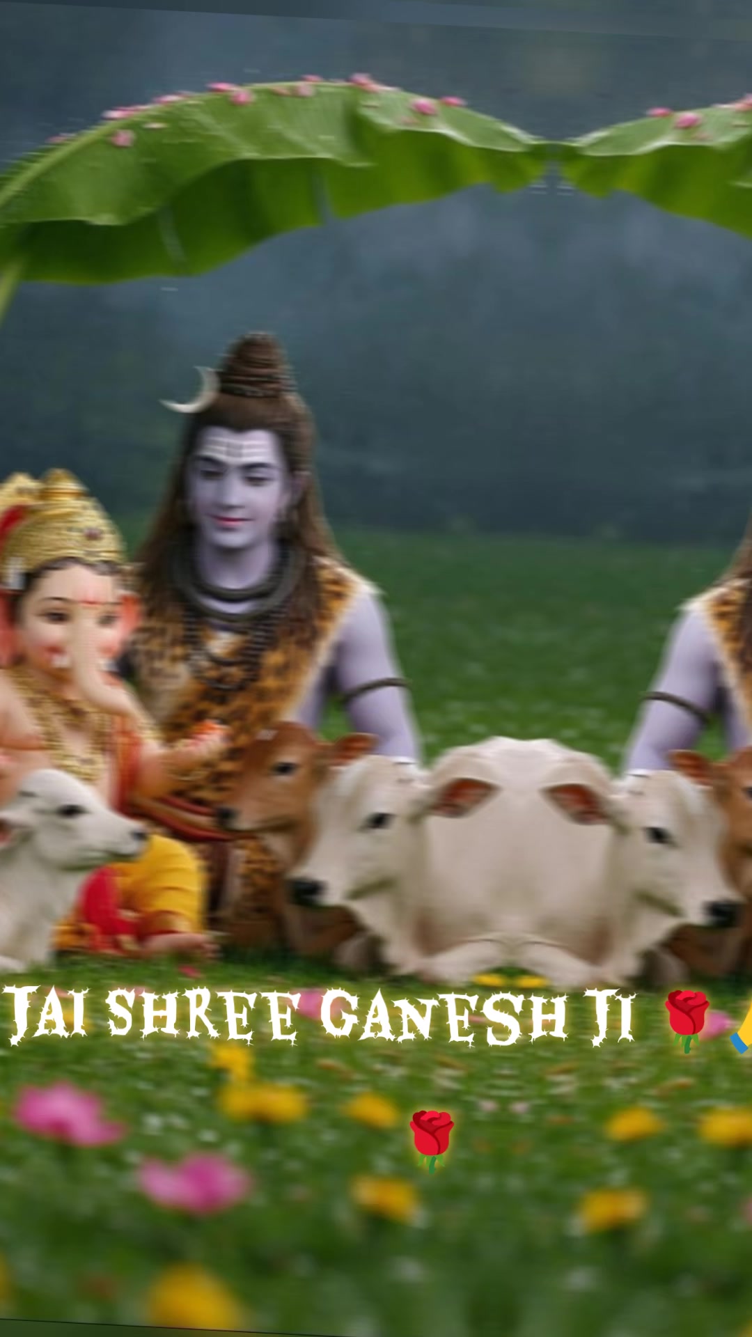 @Nutan Gupta