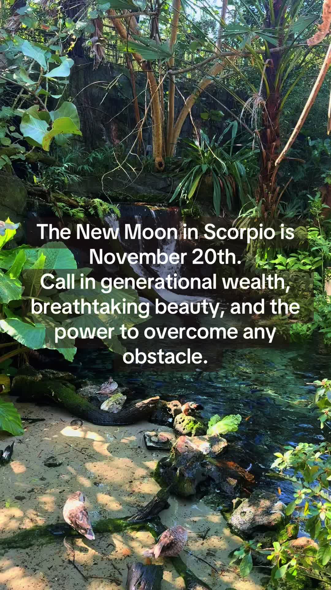 @✨✨✨