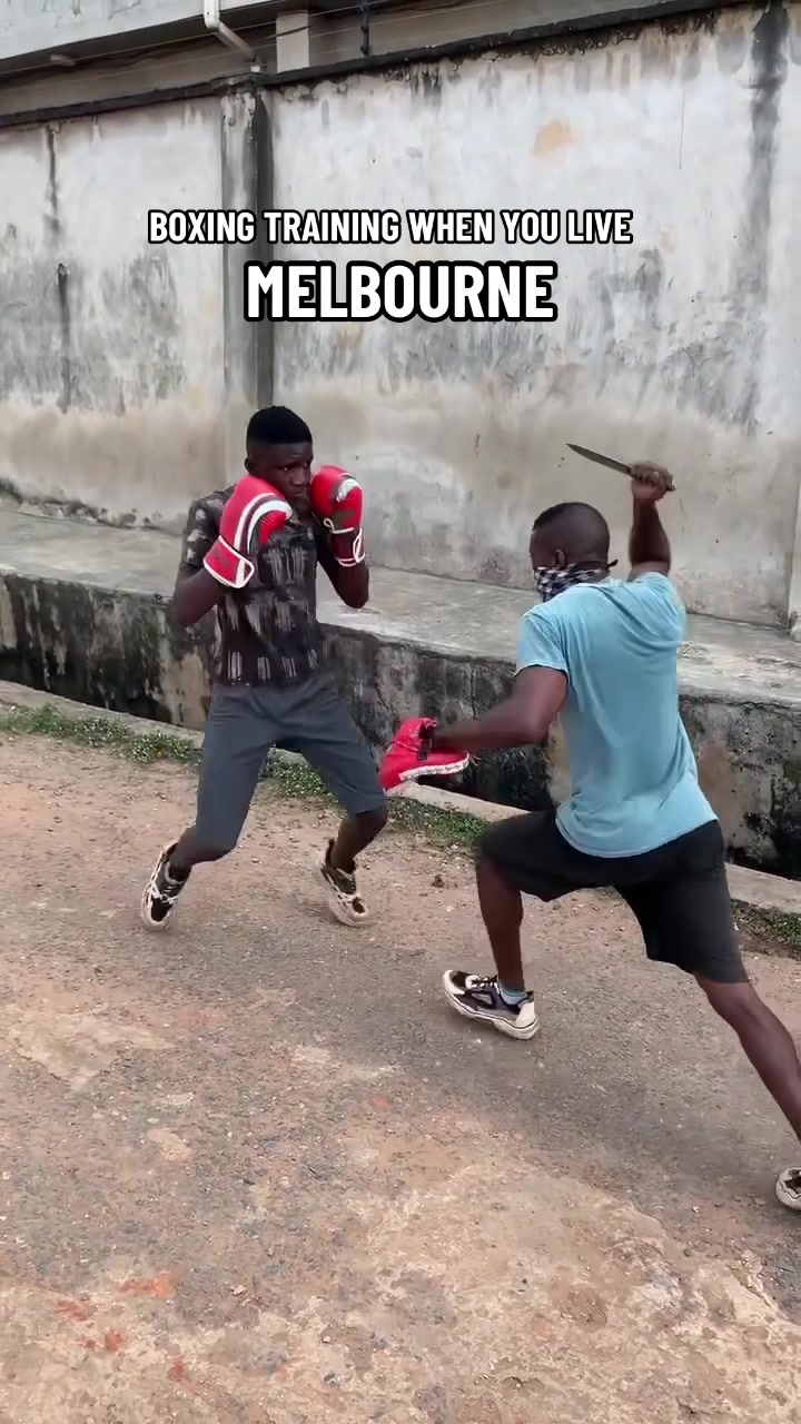 @Panthera Fist Boxing