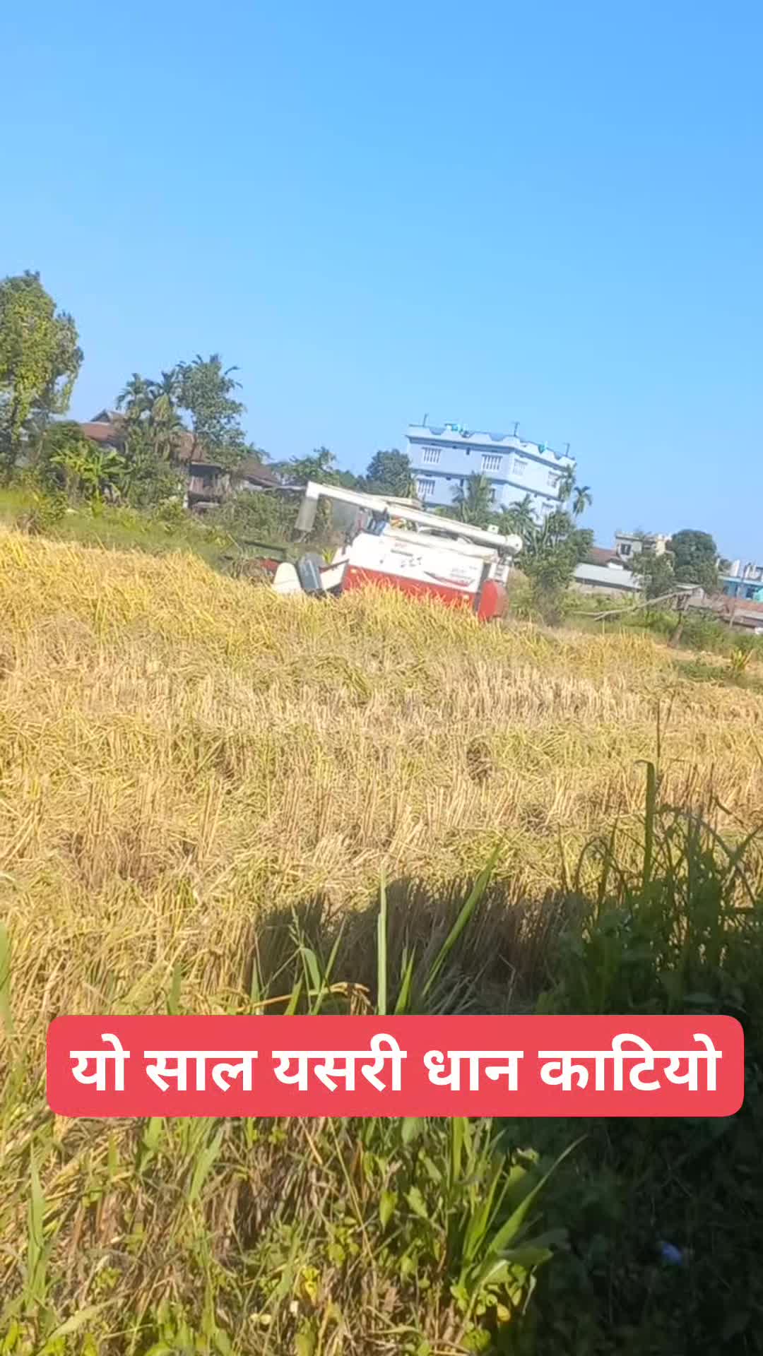@सबिन पोख्रेल