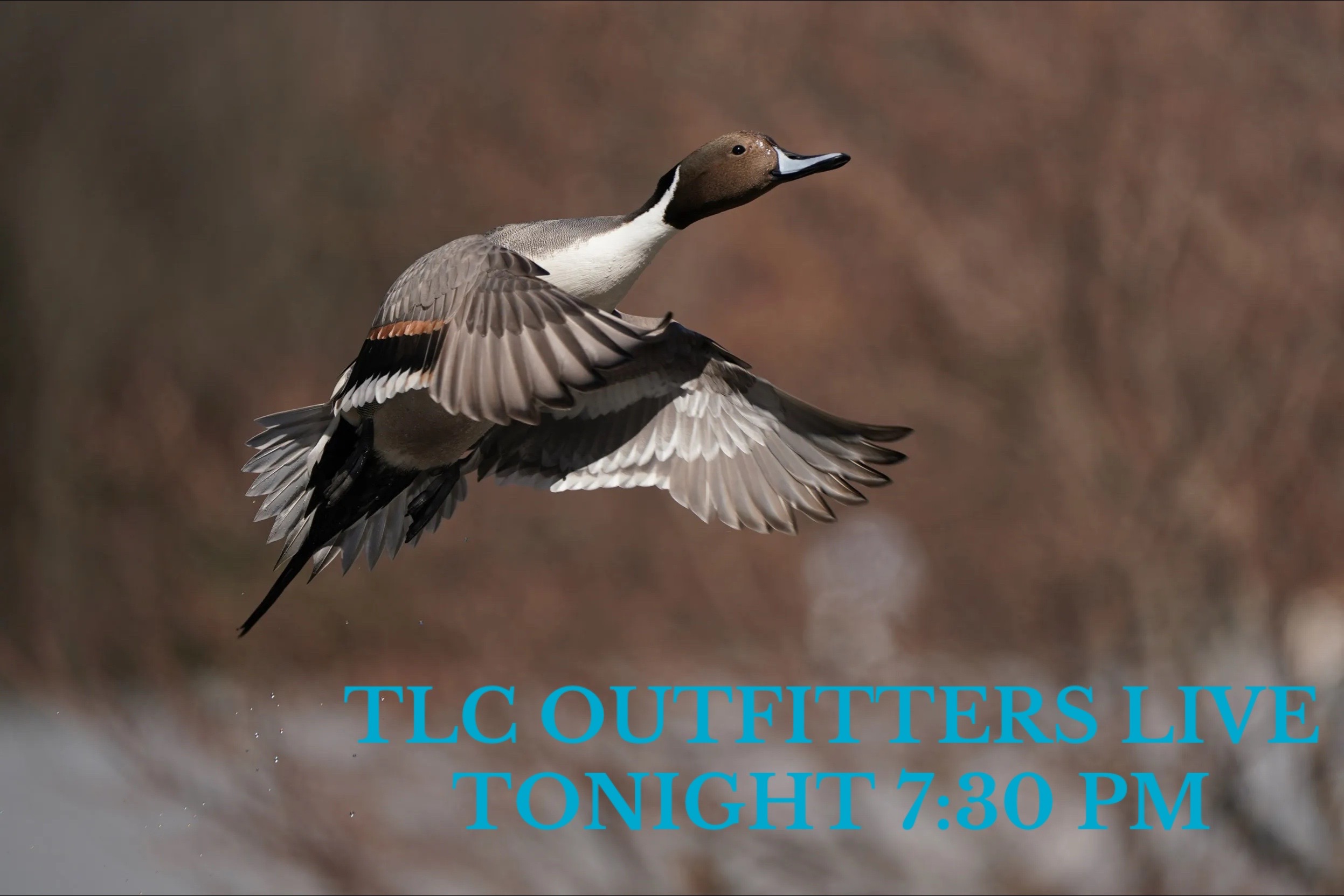@TLC Outfitters