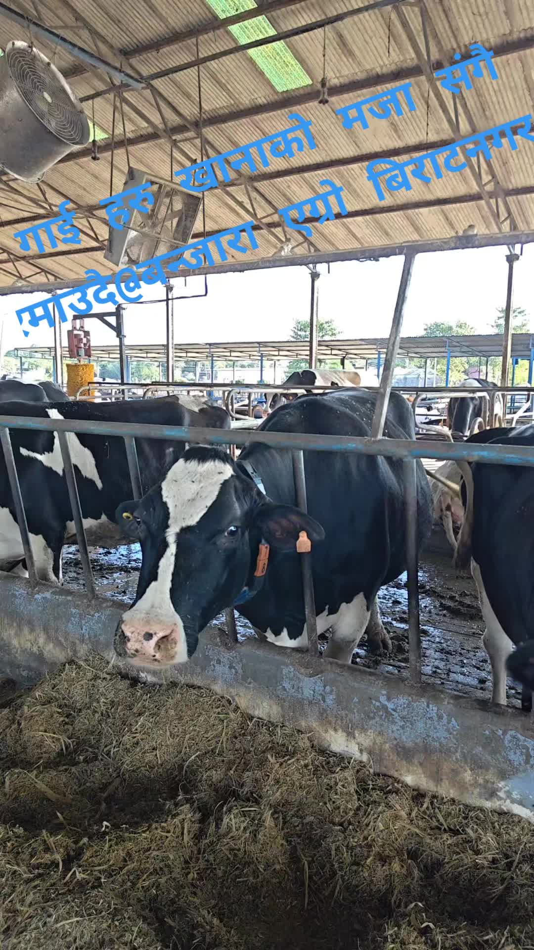 @Banjara Agro
