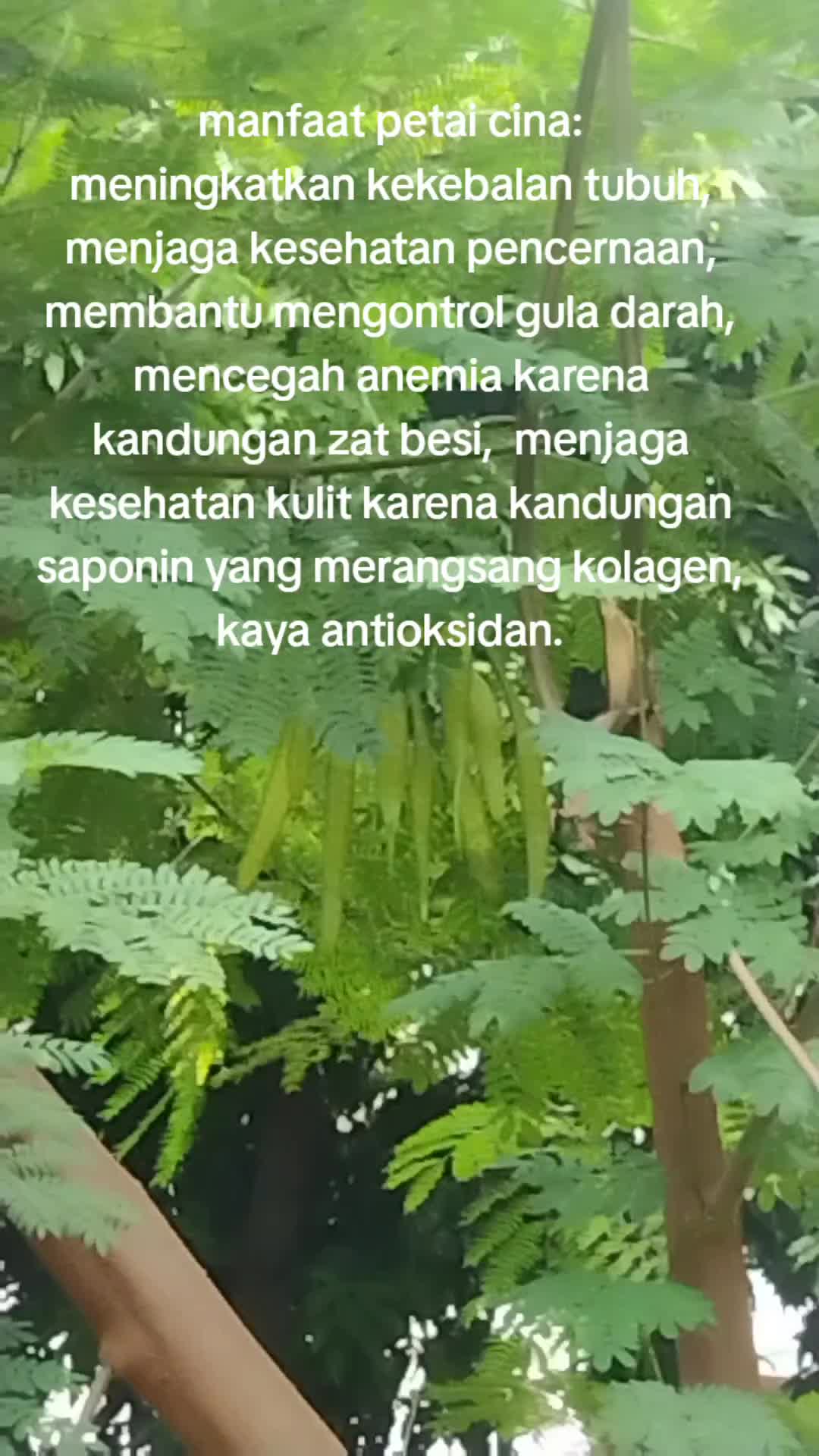 @reny glamur