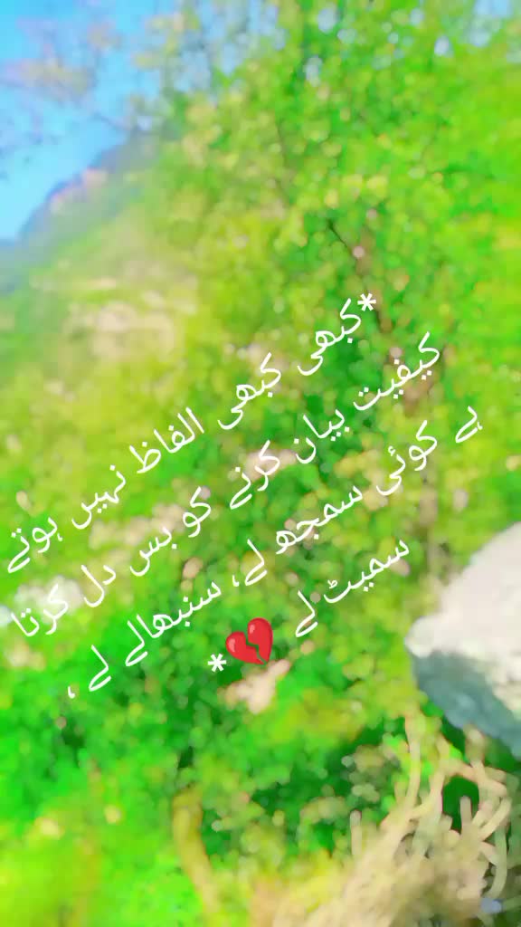 @zidii larki