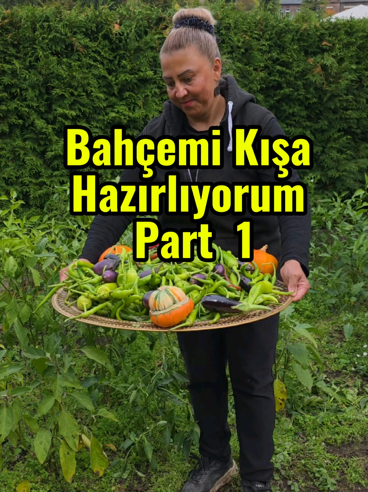 @meralworld