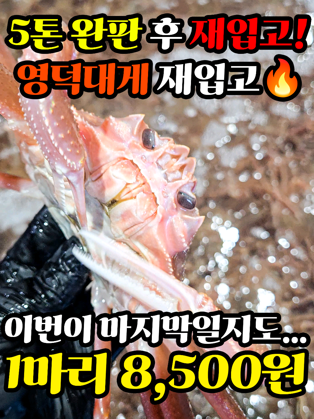 @어부와농부