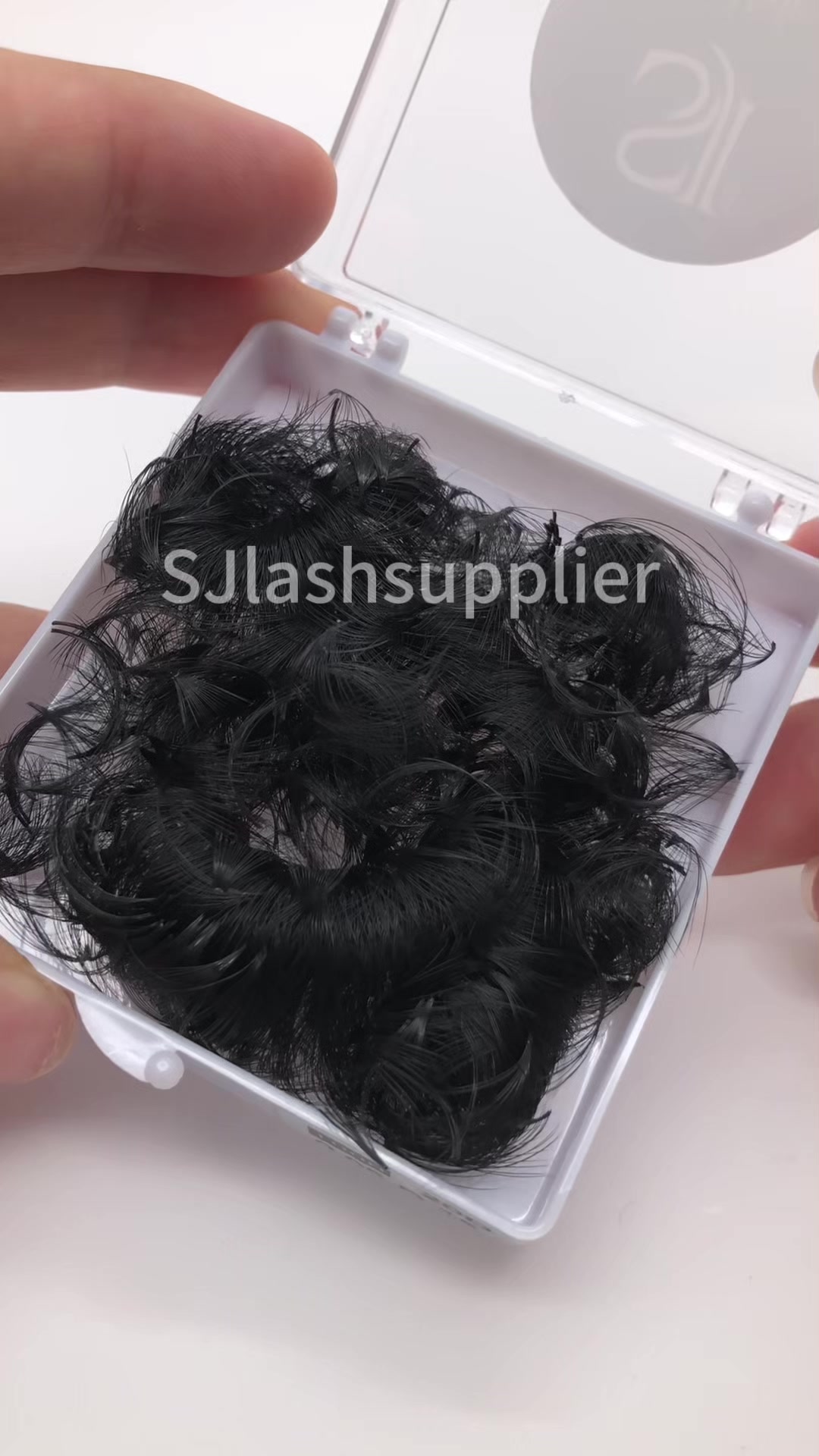 @sjlashsupplier.zoe