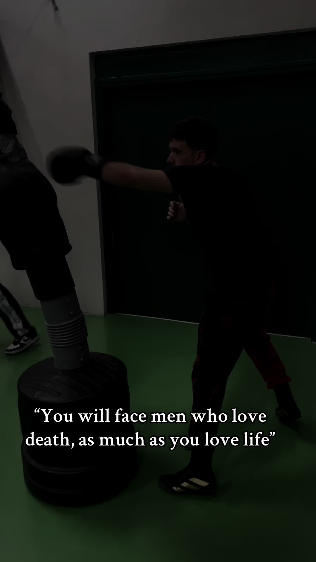 @matteottz