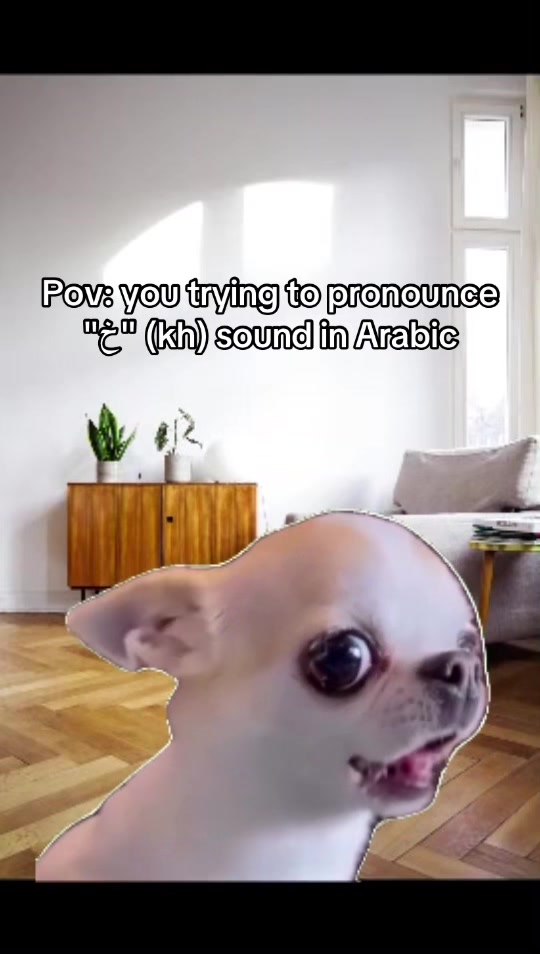 @speakarabi