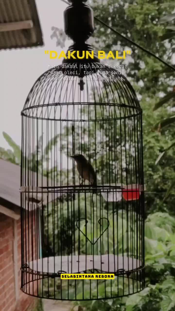 @NDX BIRD FARM