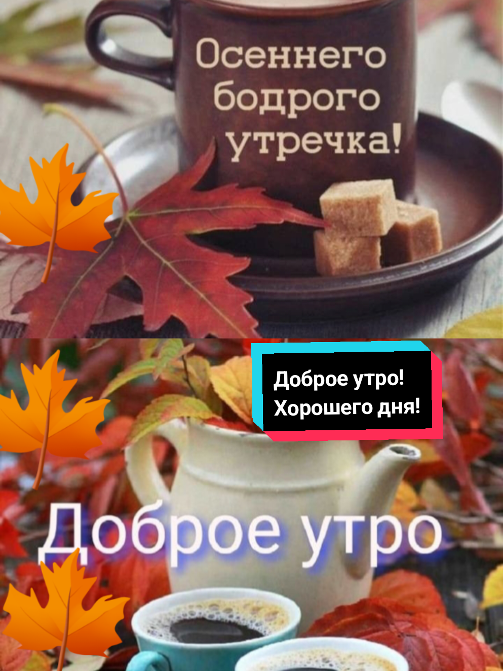 @Z.Svirgunova