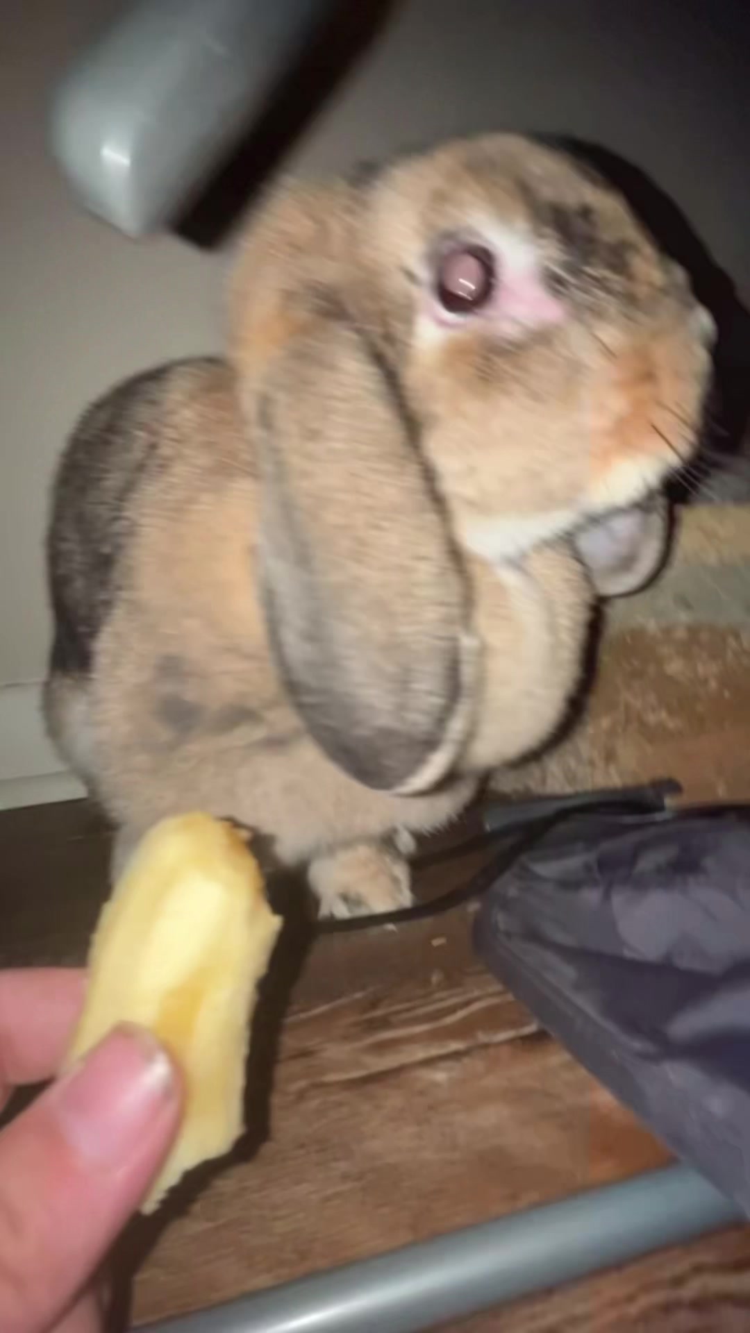 @Fadedbunny69
