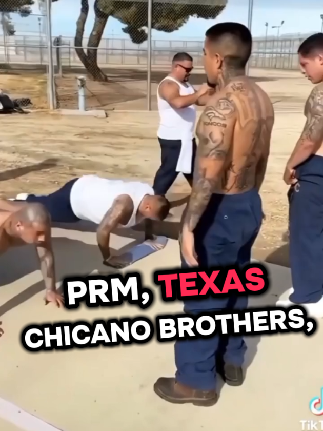 @Tiempos Muertos ☠️