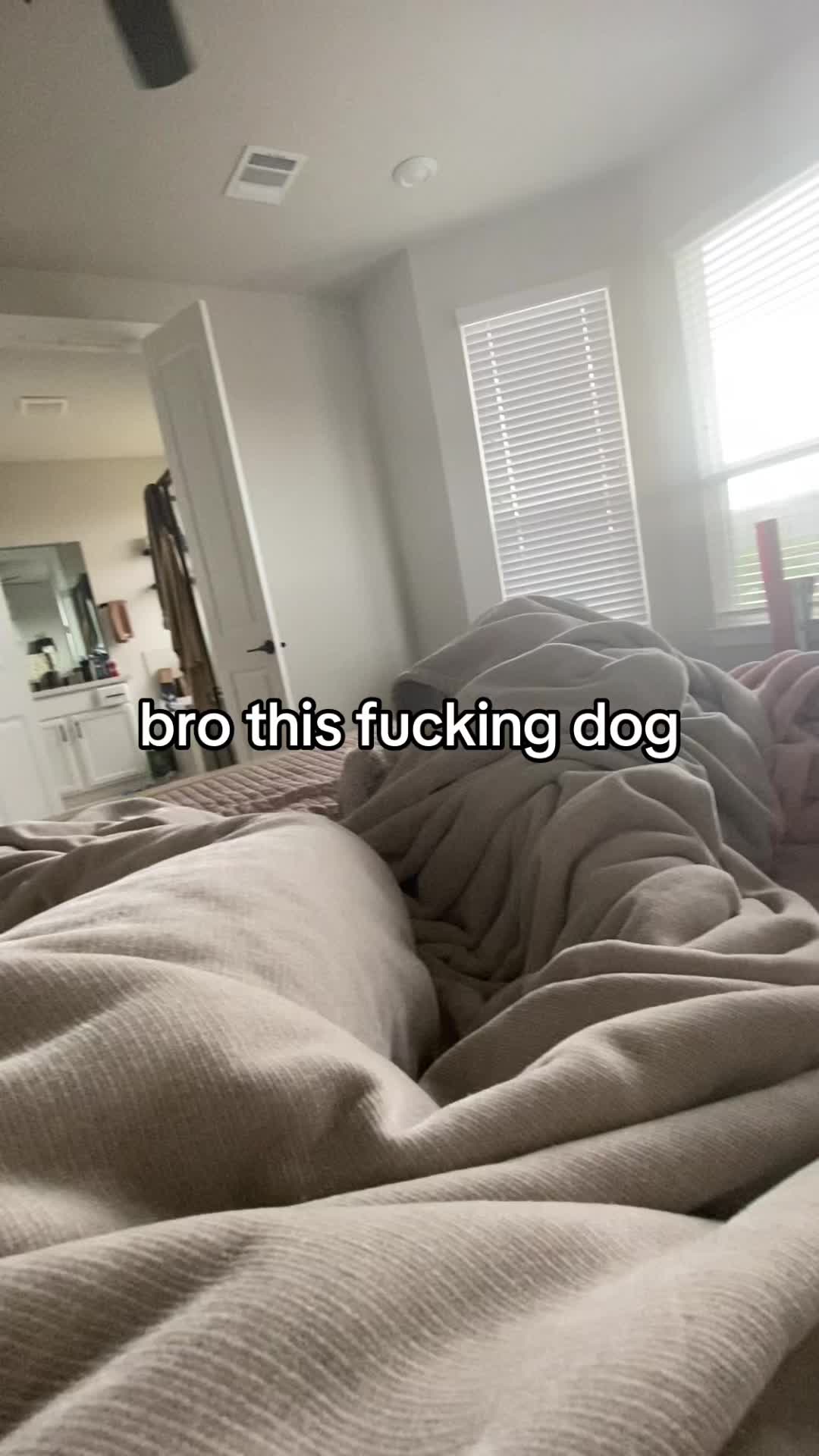 @ray