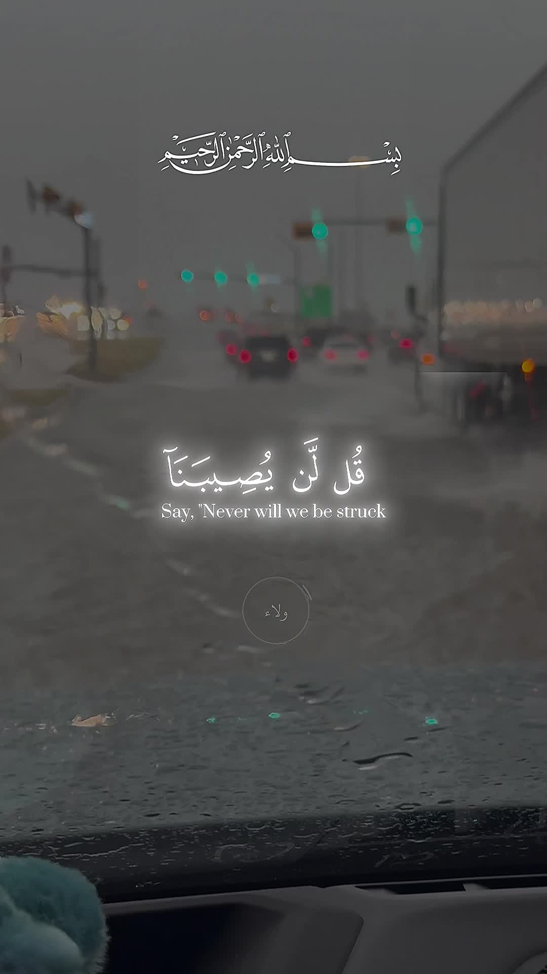 @Amani Ibrahim 🦋