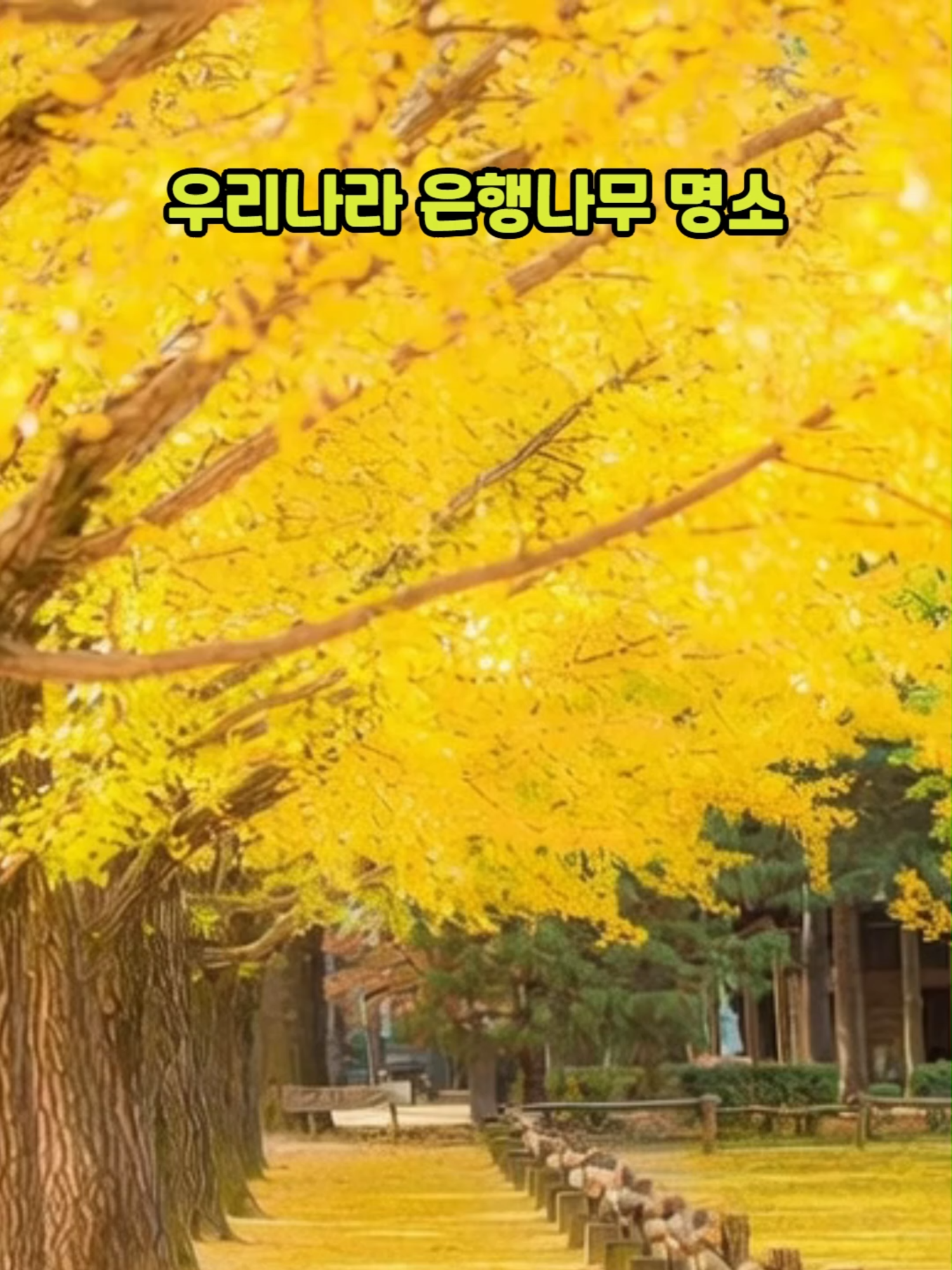 @꽃노리