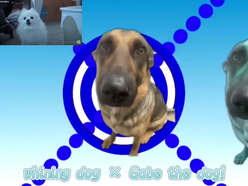 @Tina_rehab