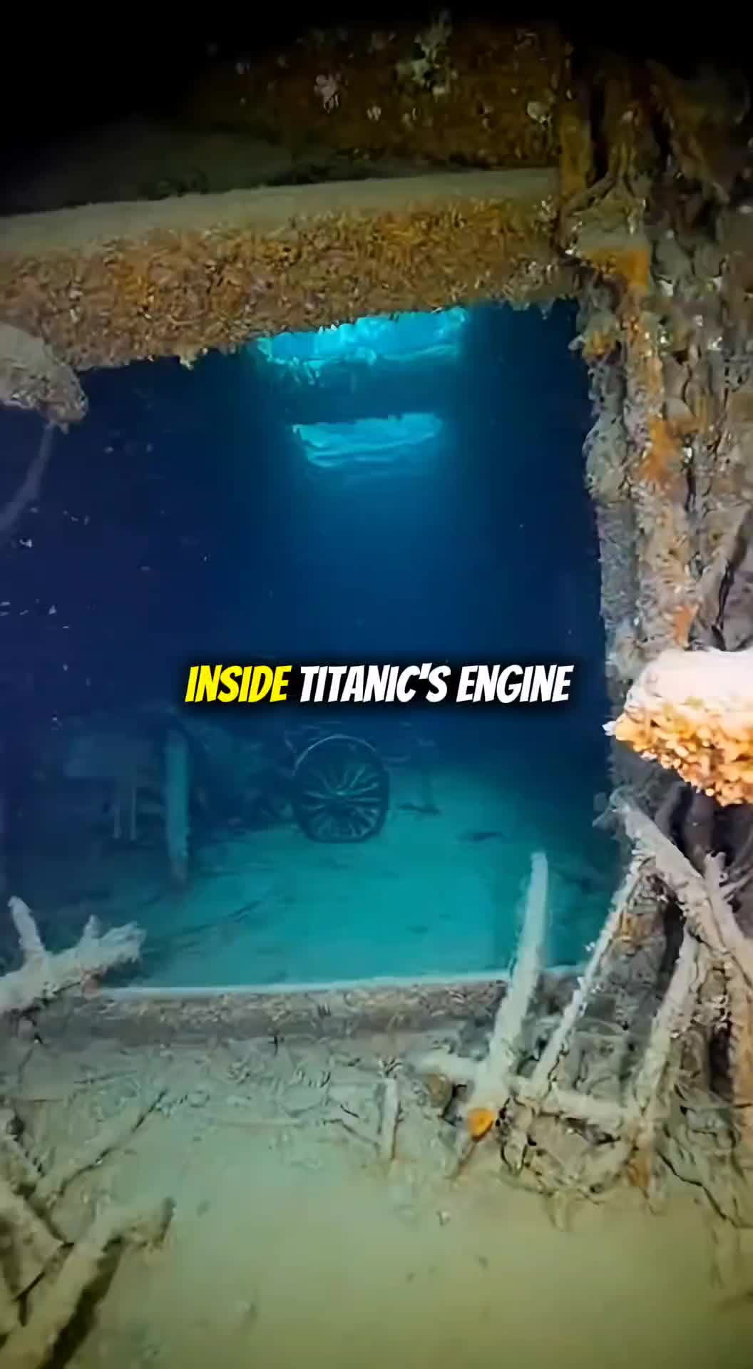 @Ships life's