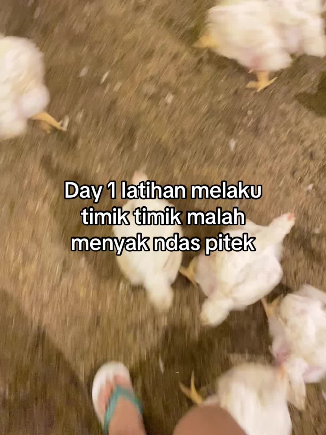 @Kaput14.