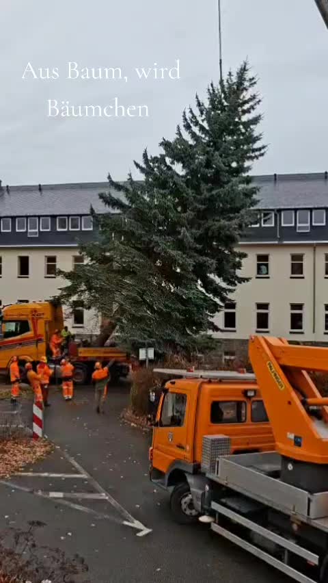 @Erzjunge