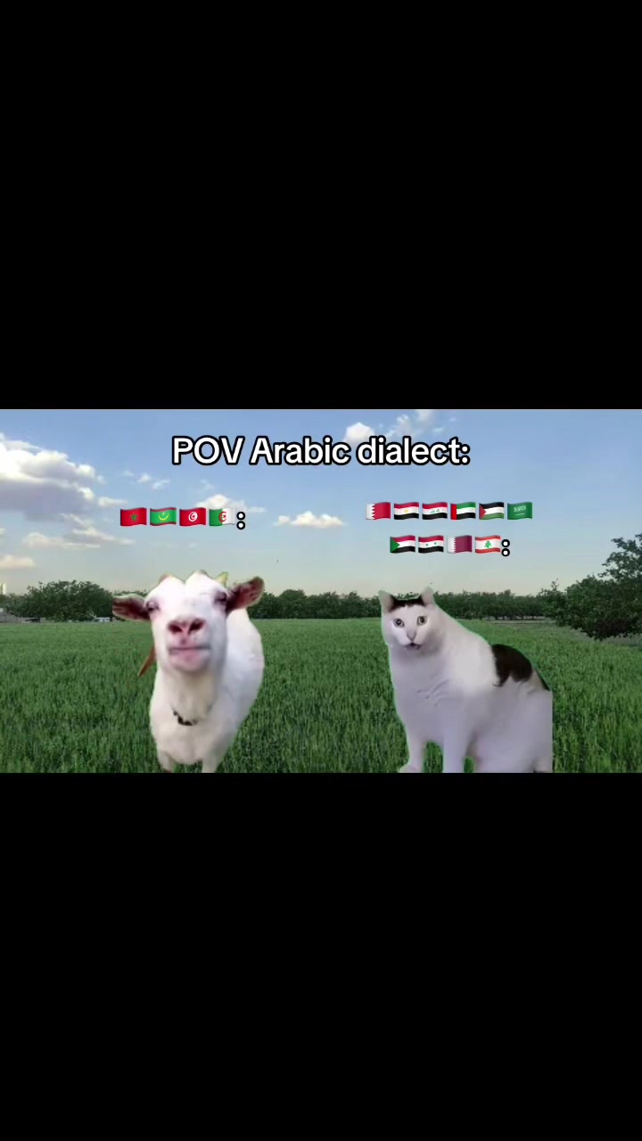 @speakarabi