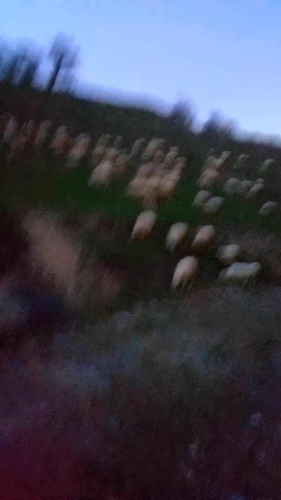 @Barkin Vergili