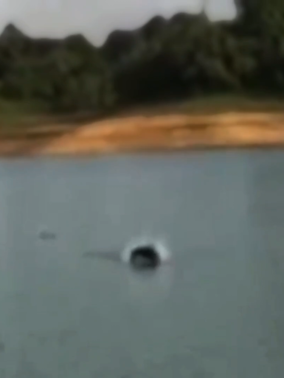 @Damz Strike Fishing