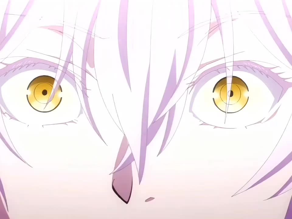 @𝚟4𝚗/𝚛𝚝➳