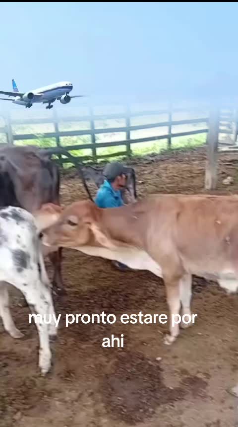 @el umilde