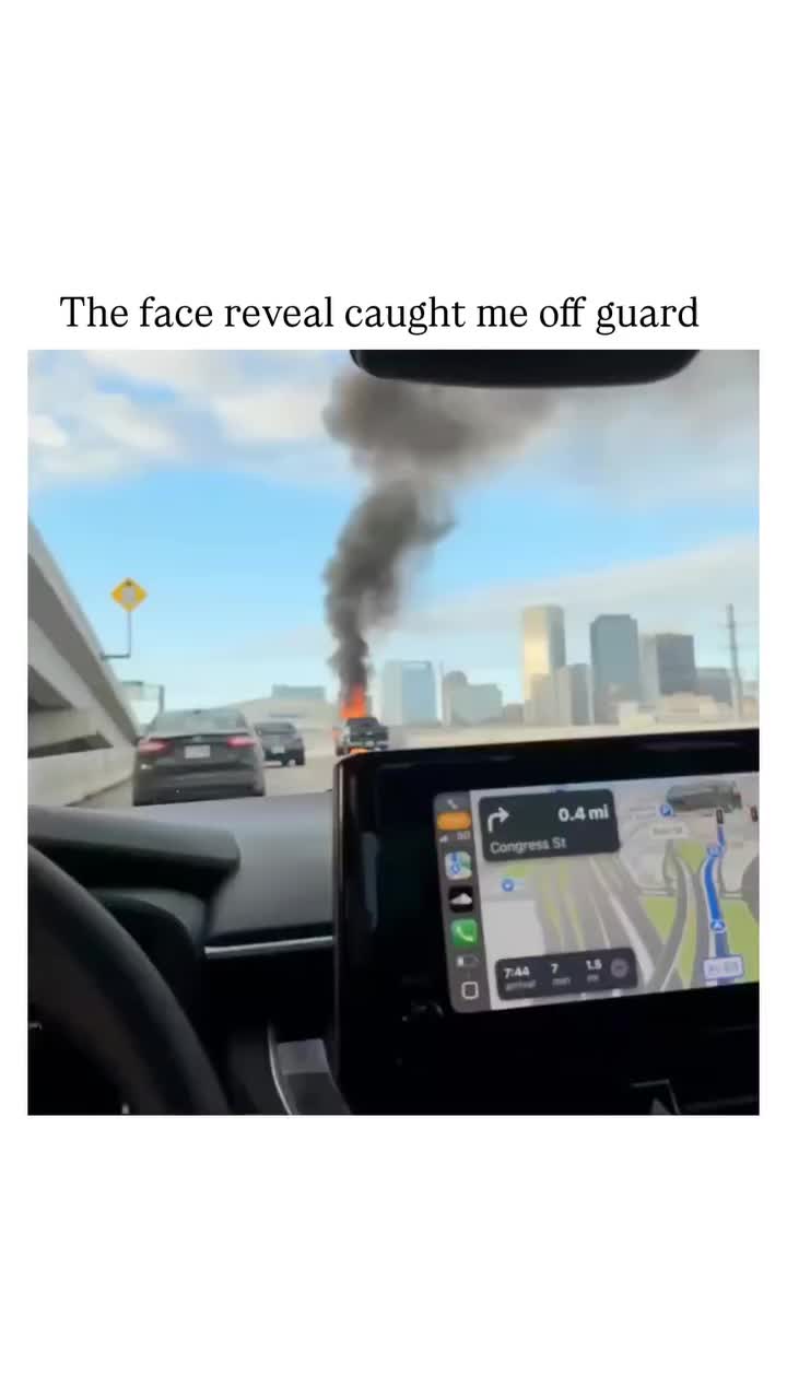 @dailyweirdness1