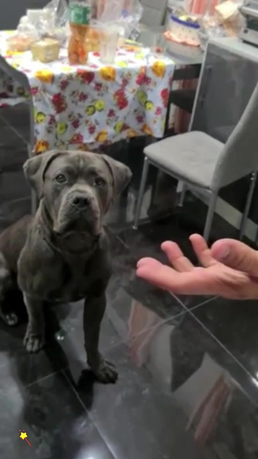 @cuteanimals472