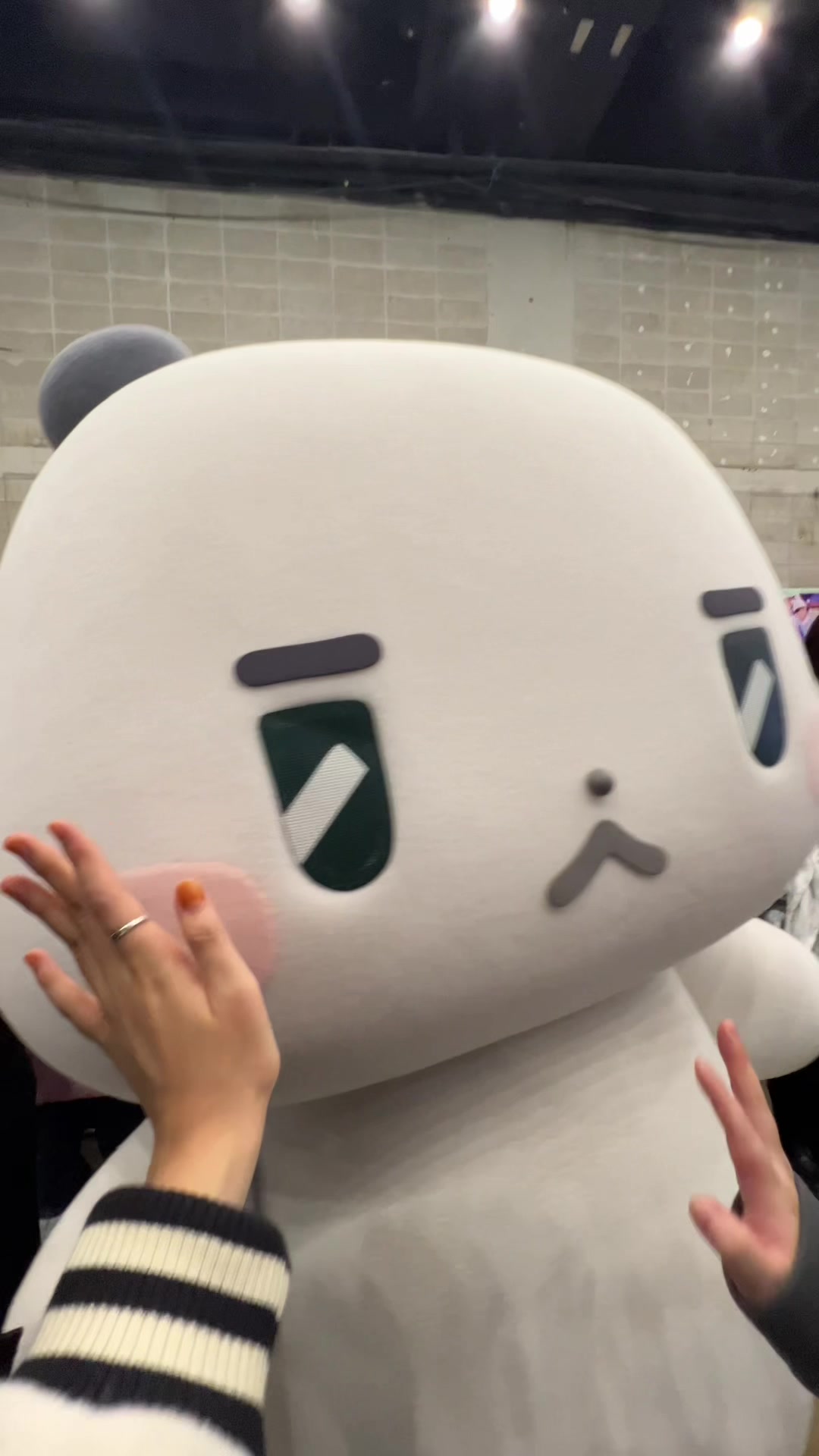 @๐ค