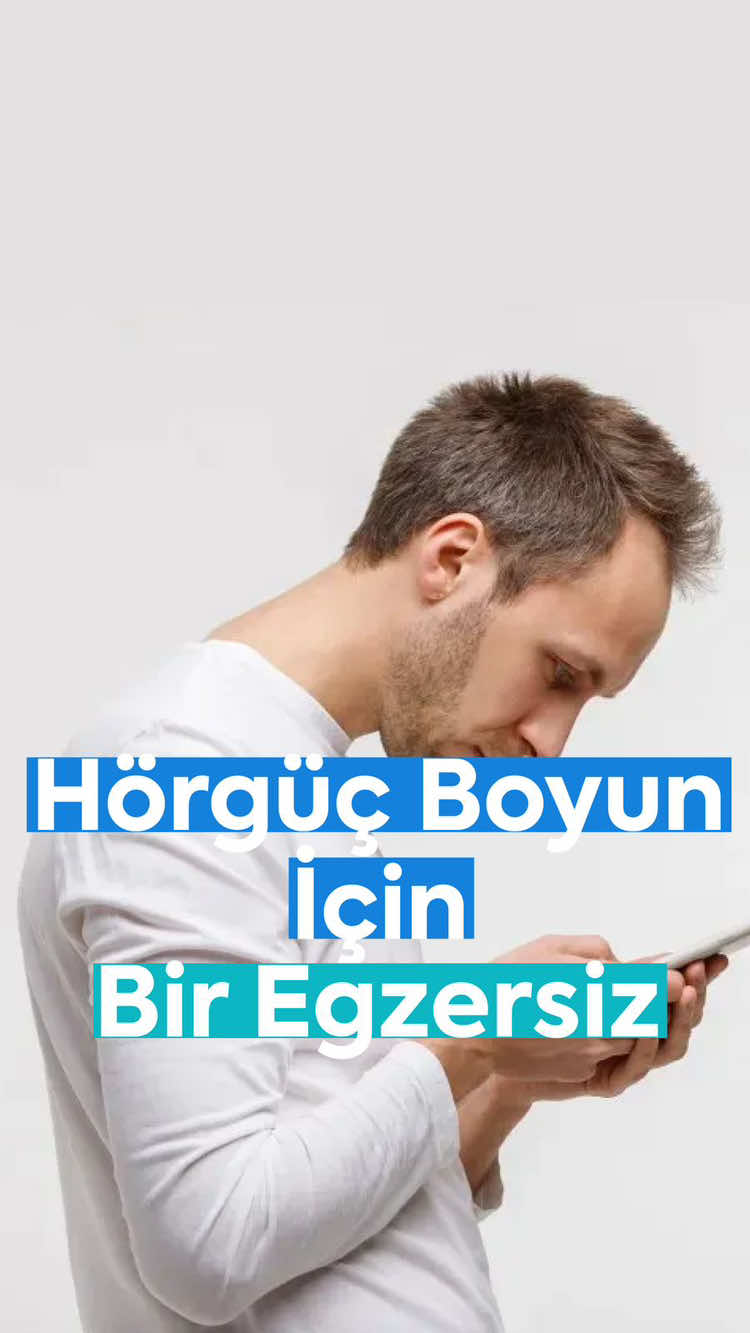 @Dr. Beşir Şahin İnceer