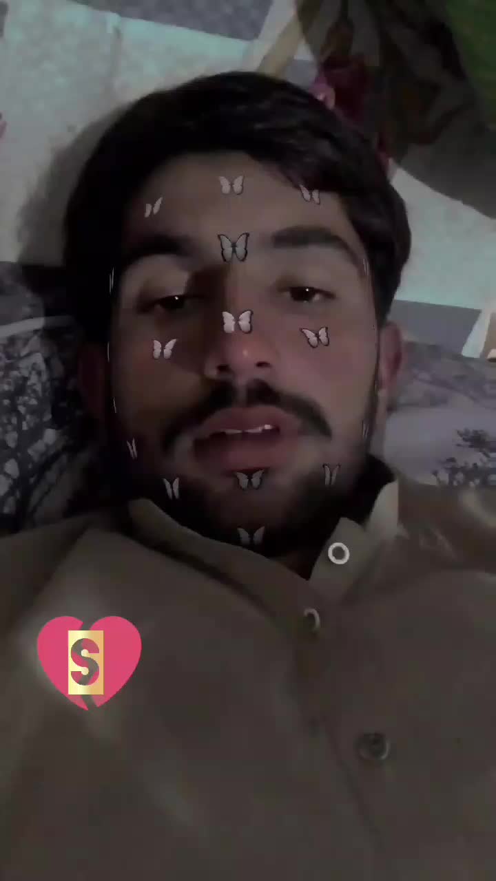 @💔🥺 tota dill 😢😢
