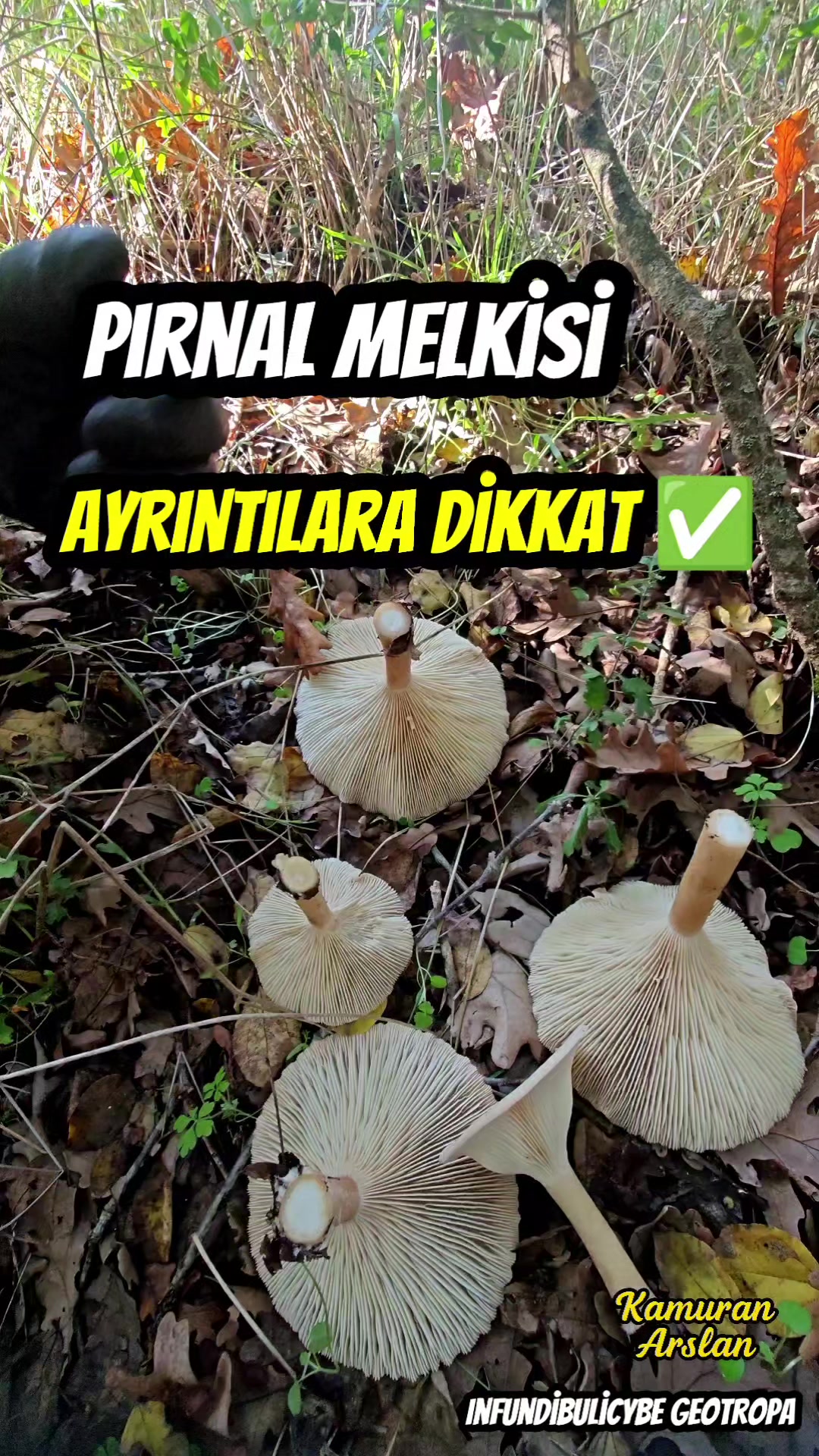 @Kamuran Arslan