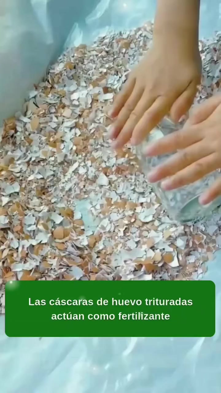 @MIJARDIN