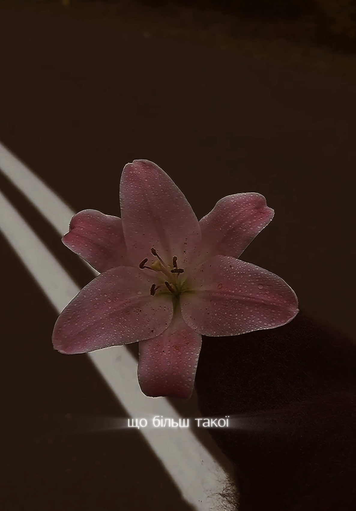 @ғᴏʀ ᴛʜᴇ sᴏᴜʟ