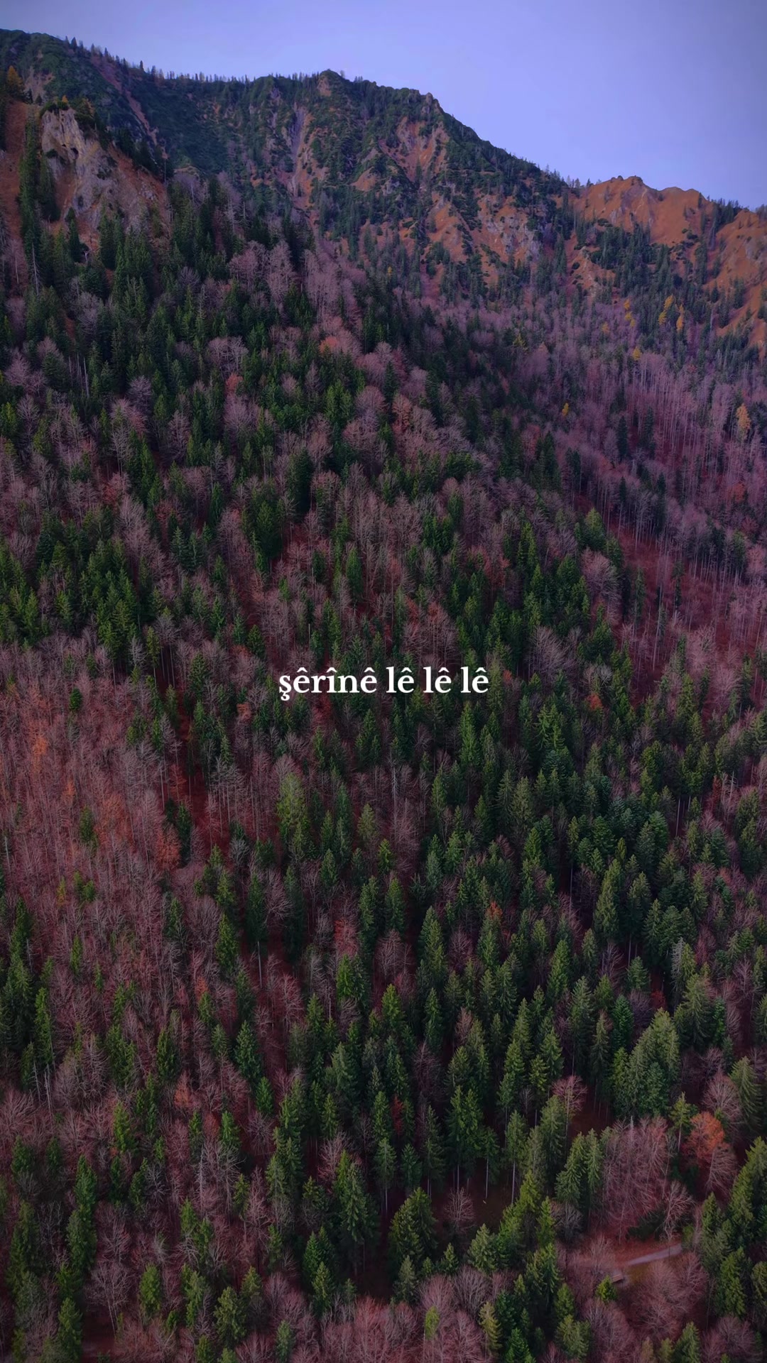 @realerzlifez