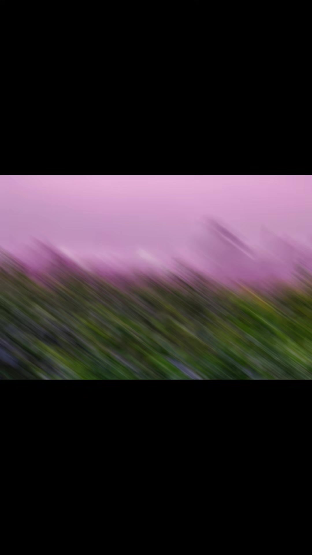 @農芒-楊沁涓