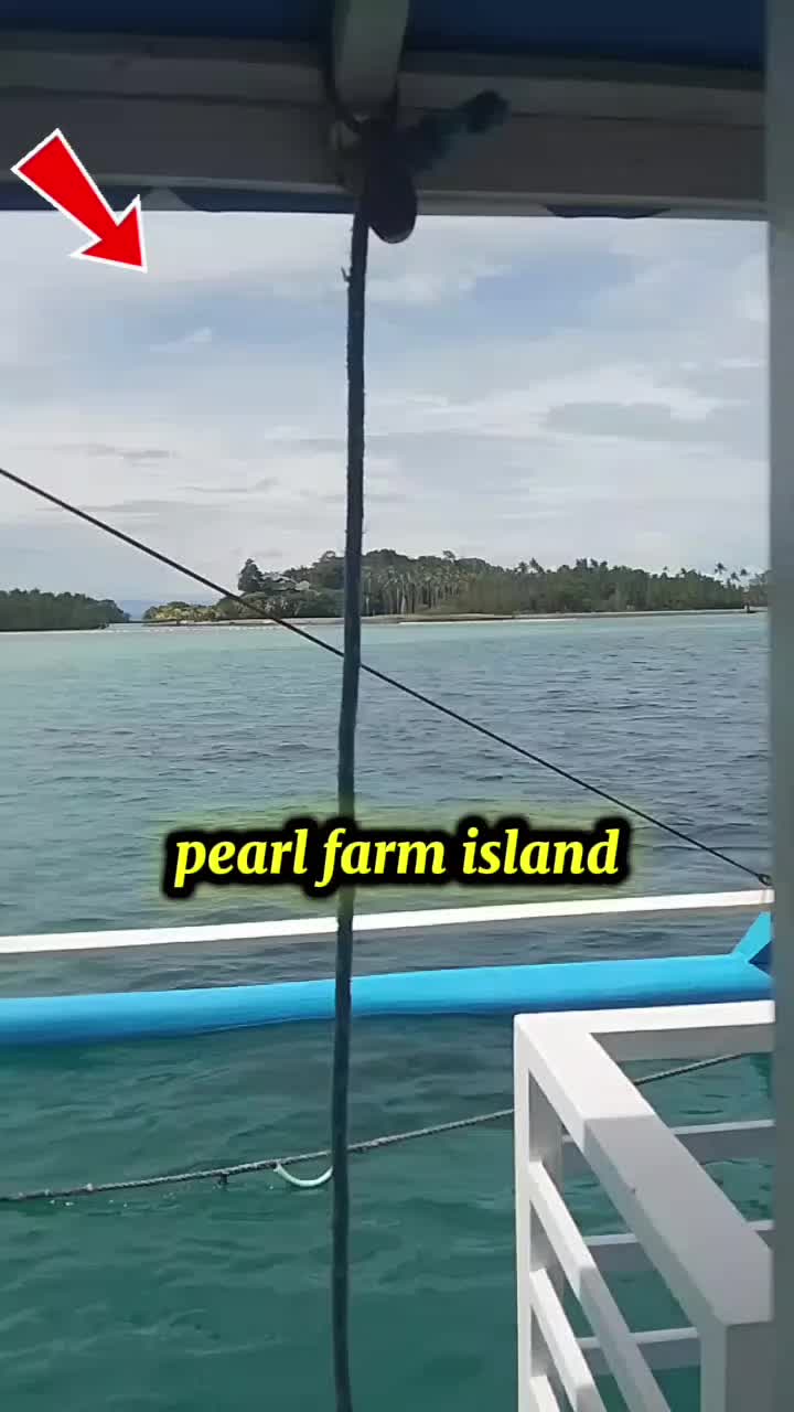 @Vammy Tenaja