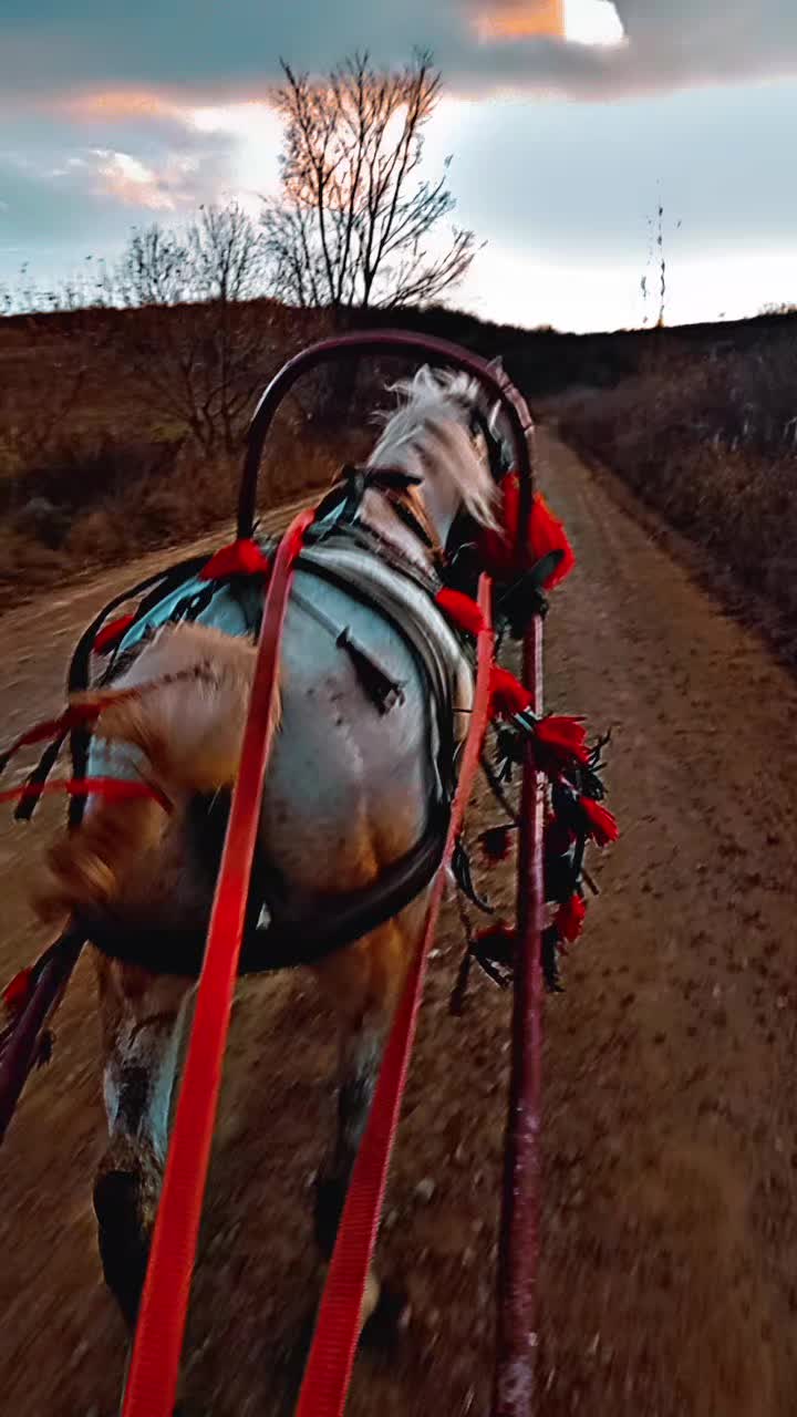 @Cătălin&hearts;️🧨