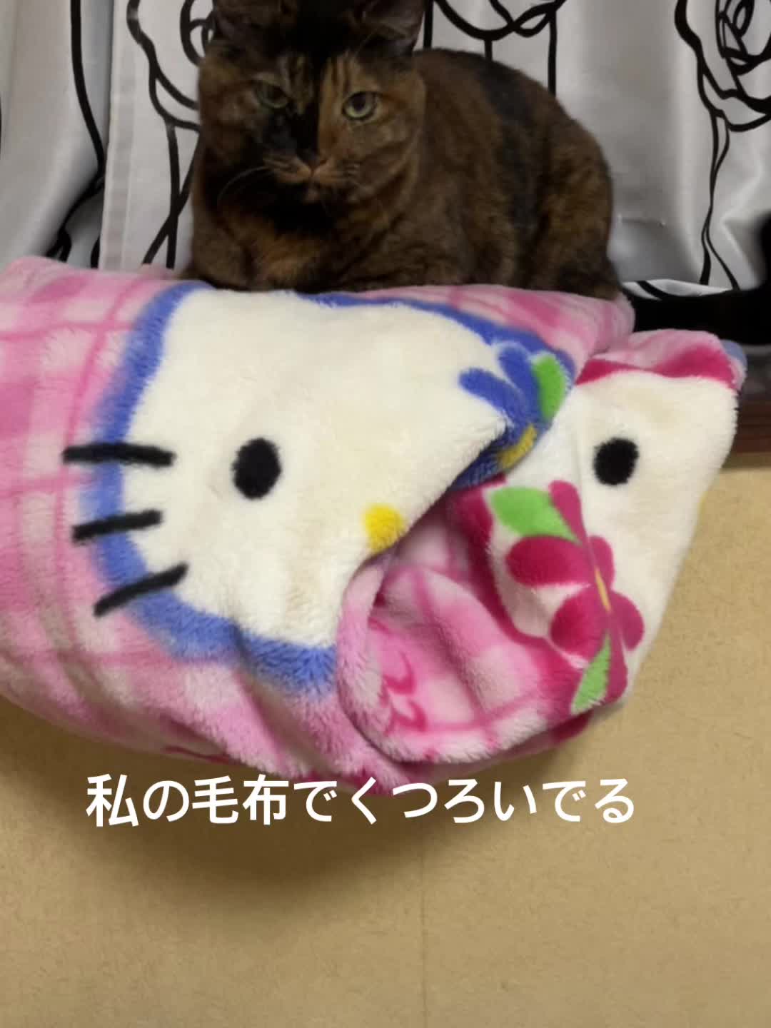 @佳代