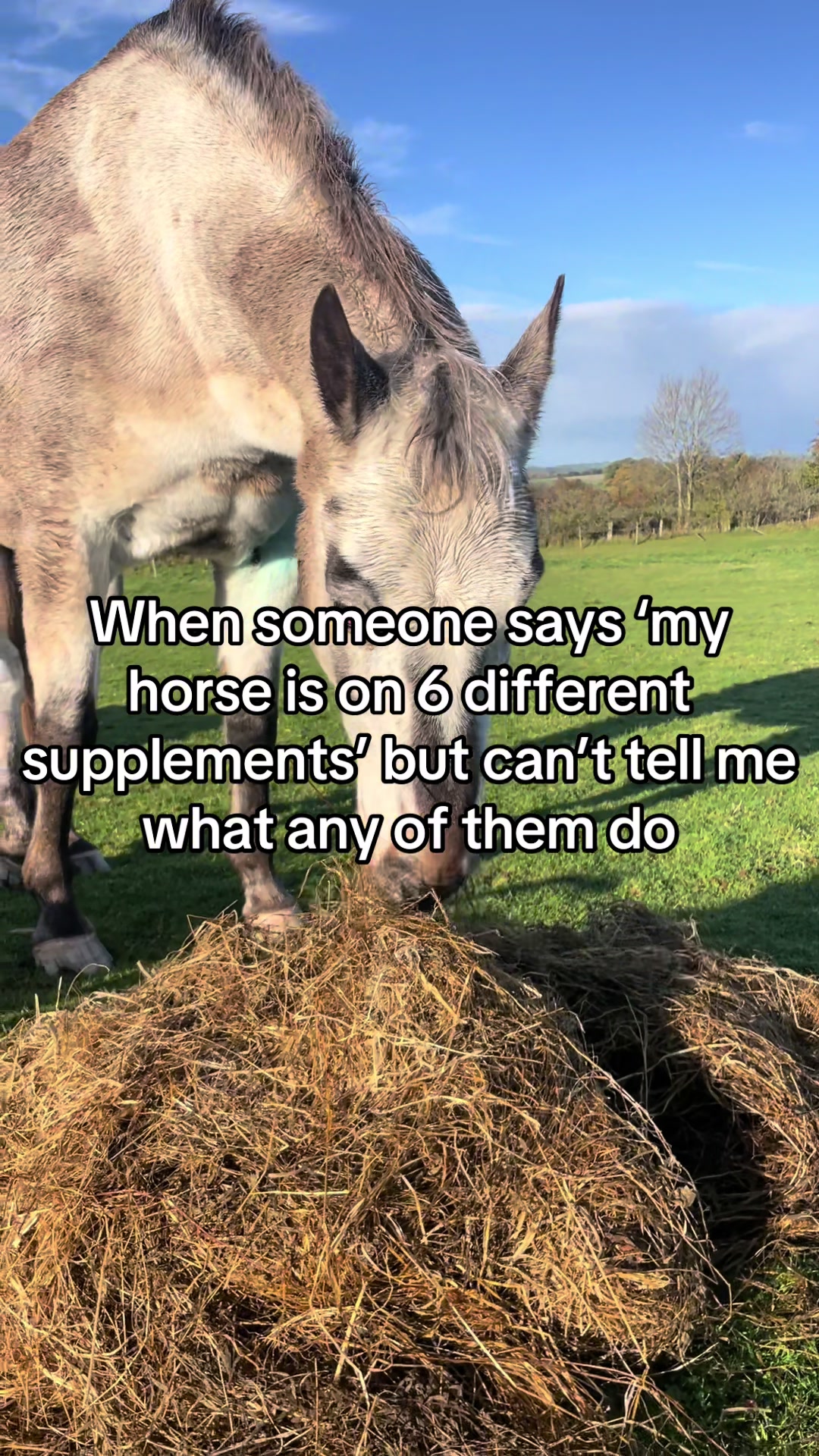 @Equine Nutrition With April