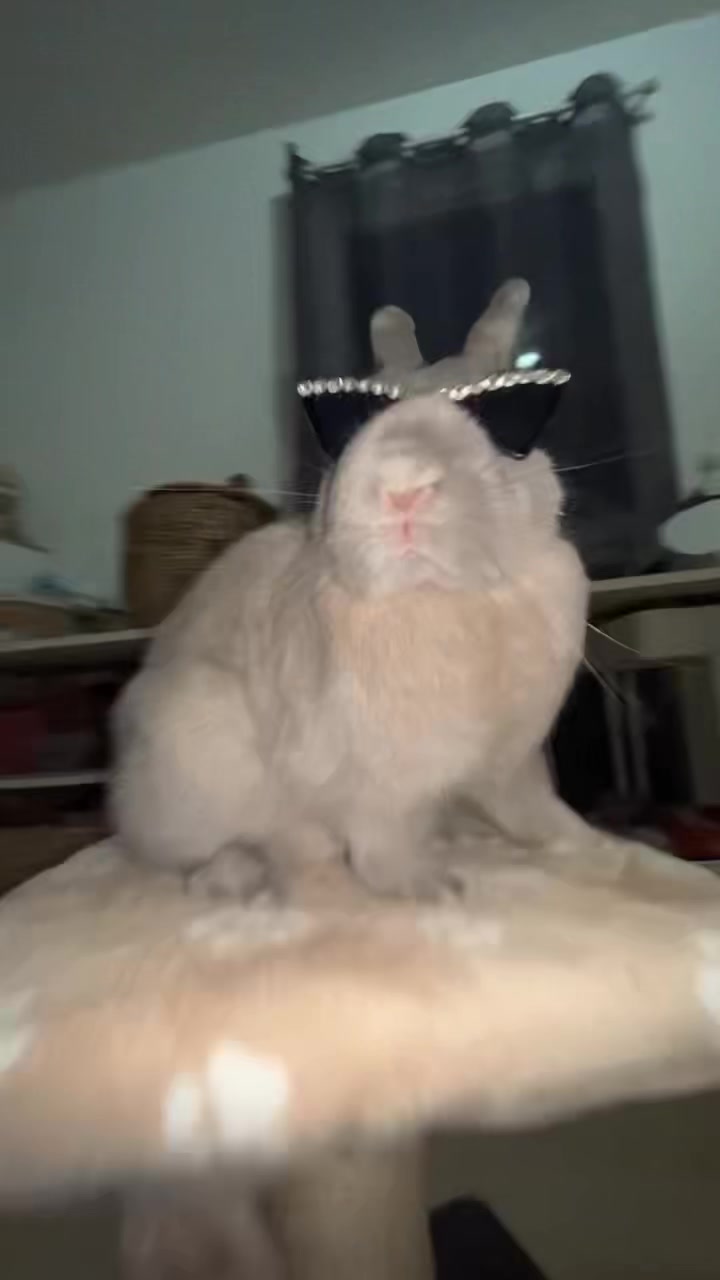 @PantoufleLapin