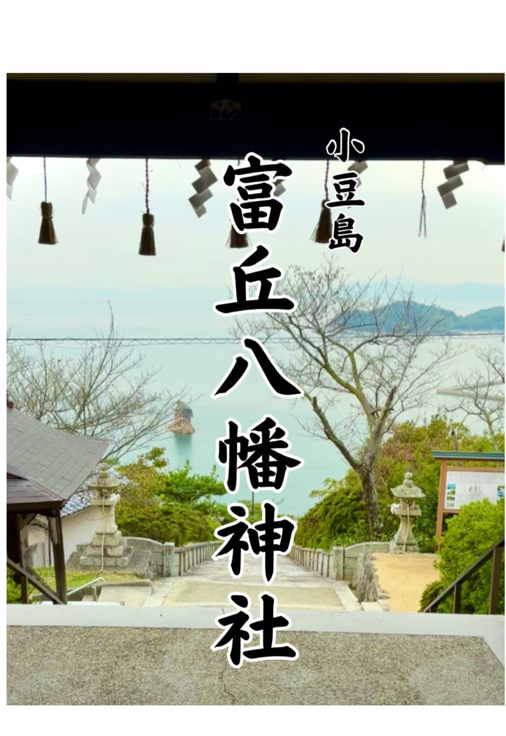 @そち(CHOKEH)🪭🌵