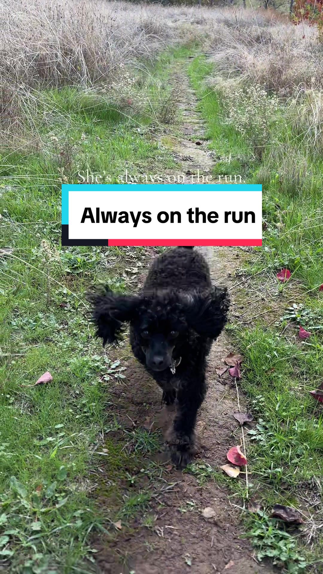 @liveyourbestlife