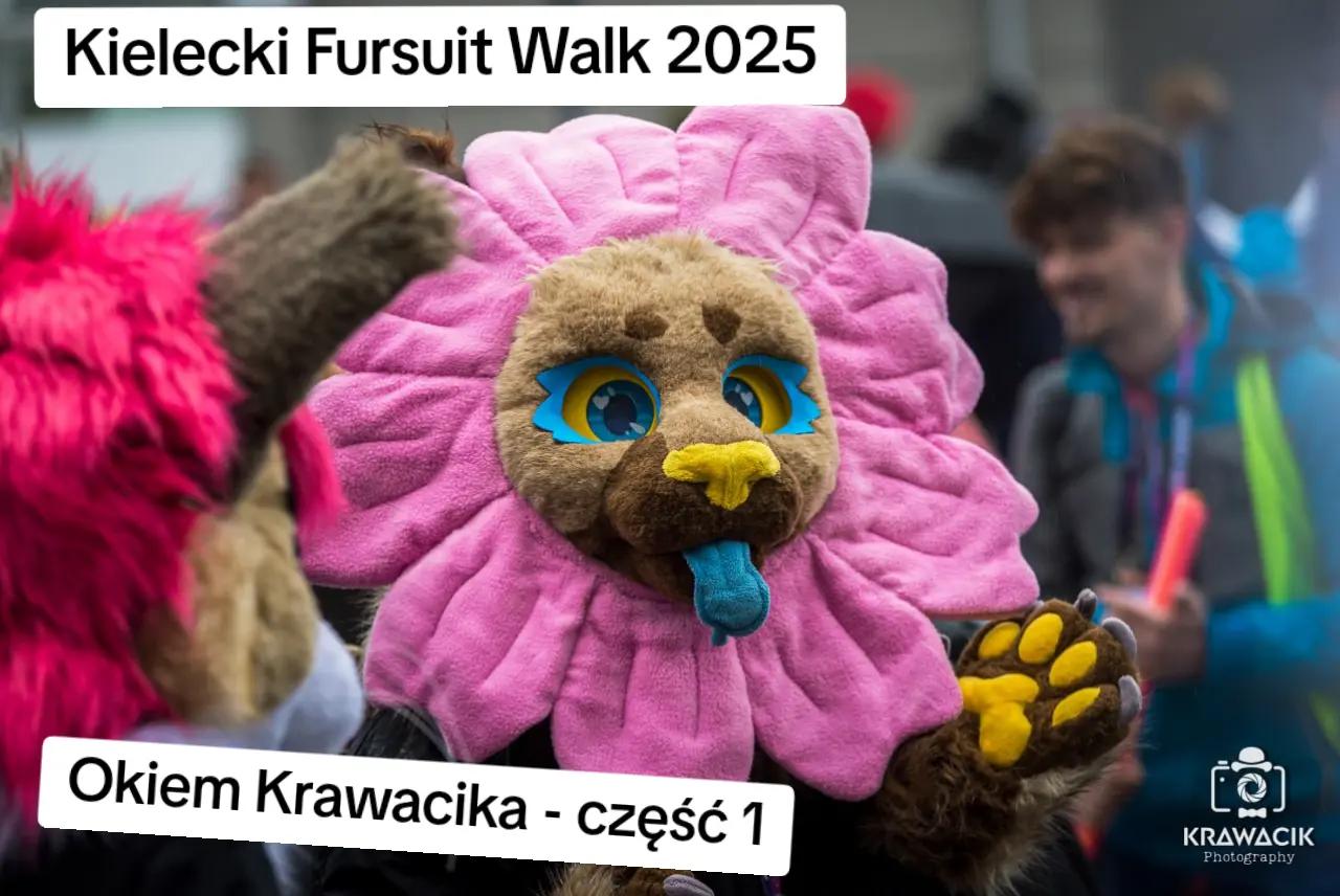 @Krawacik Panda