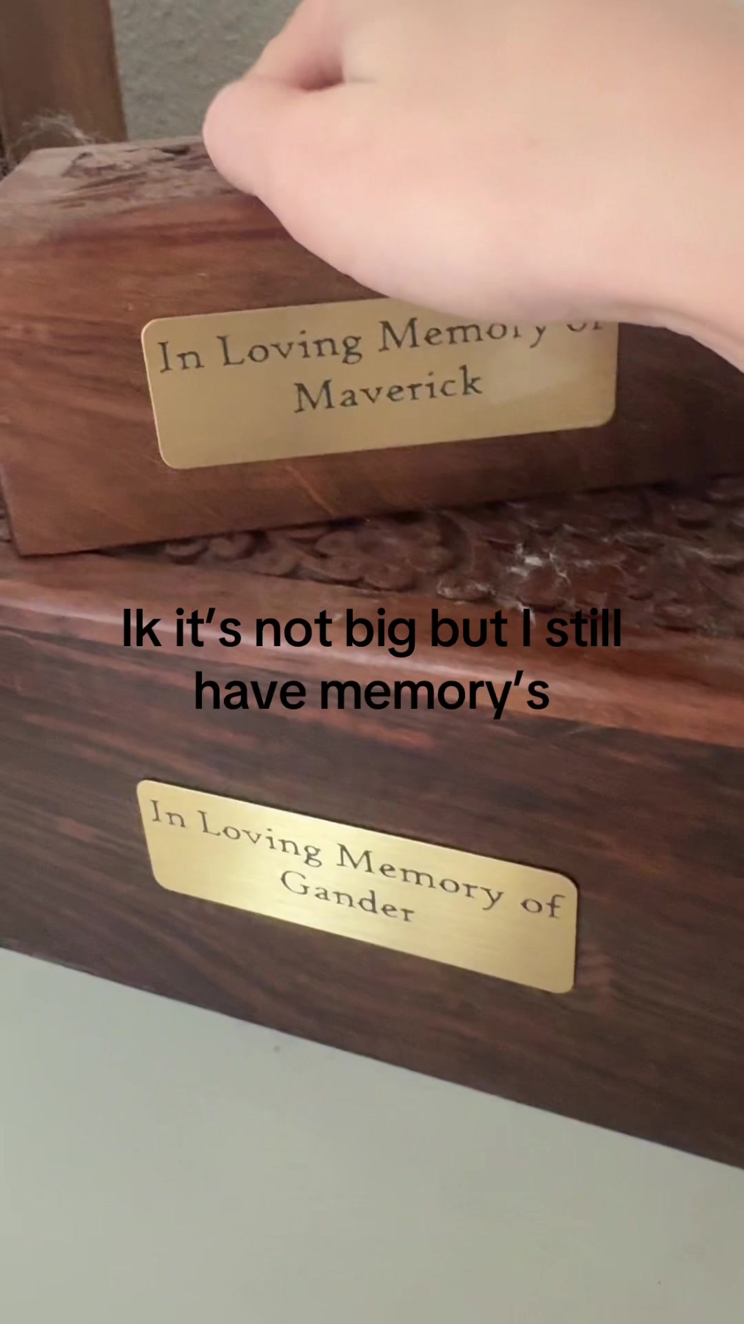 @skaterbub