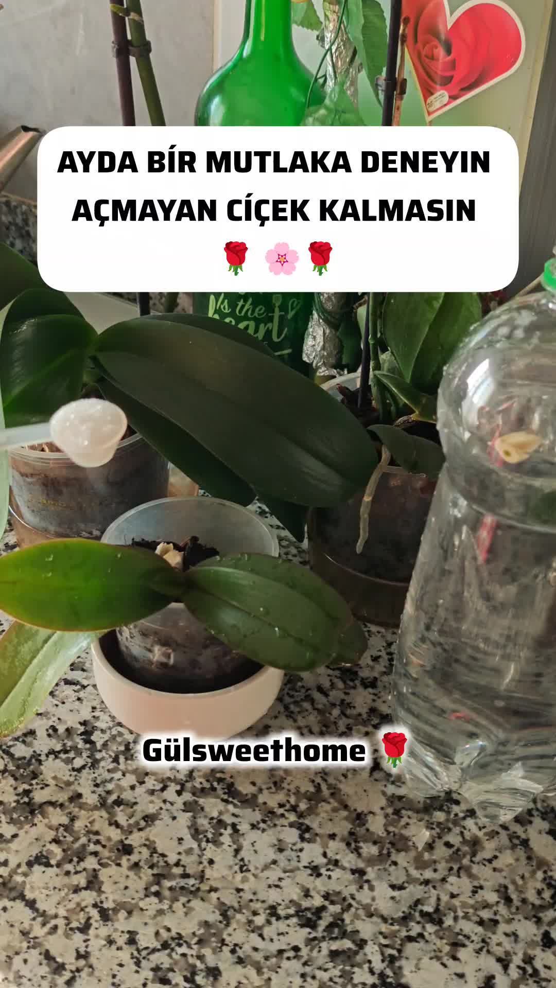 @g&uuml;l_ygt34
